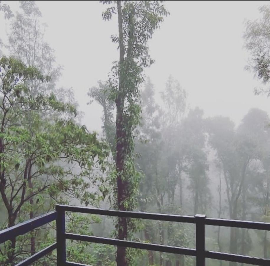 Cloud 9 Homestay Attigundi Luaran gambar